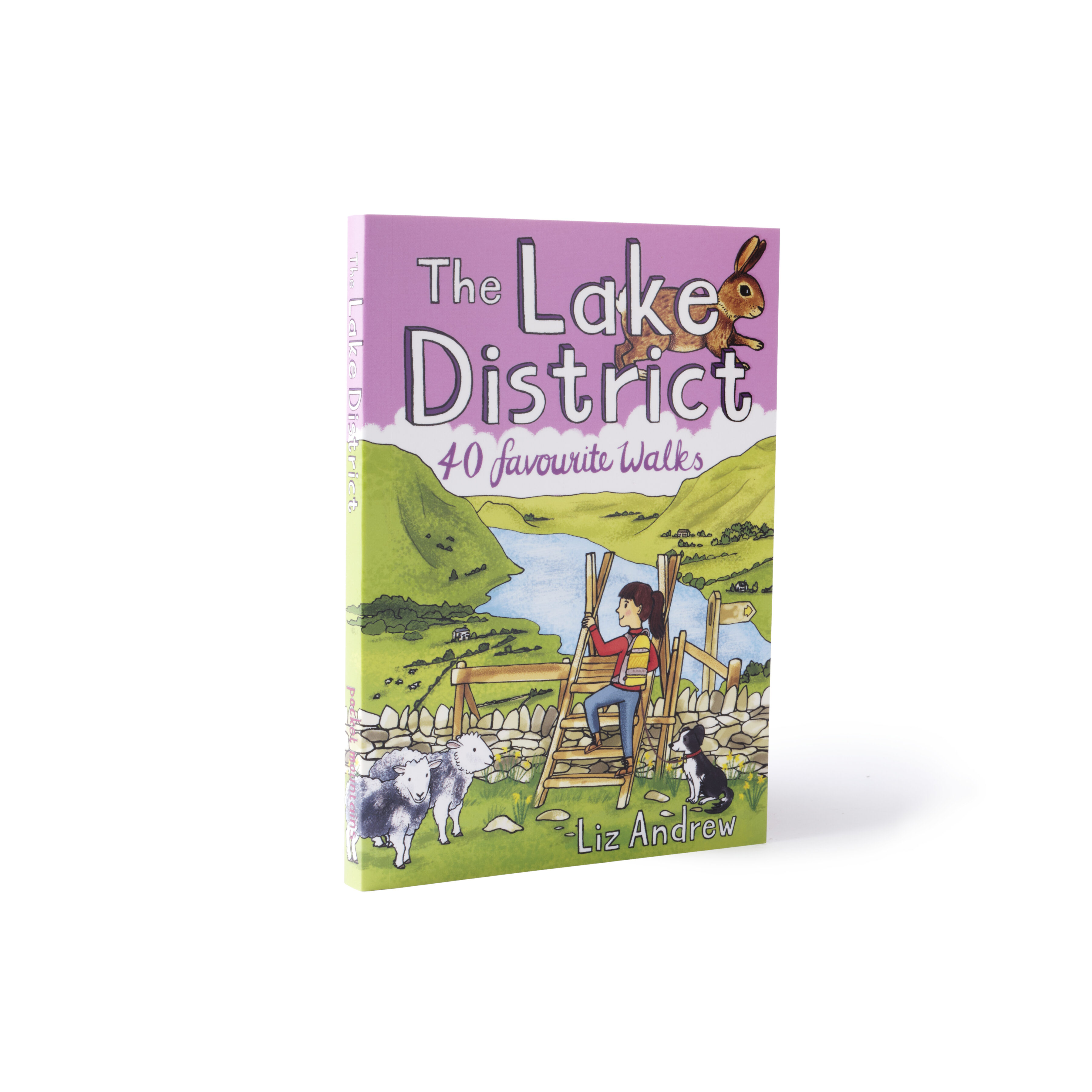 Pocket Mnt White Bx D135490 copy